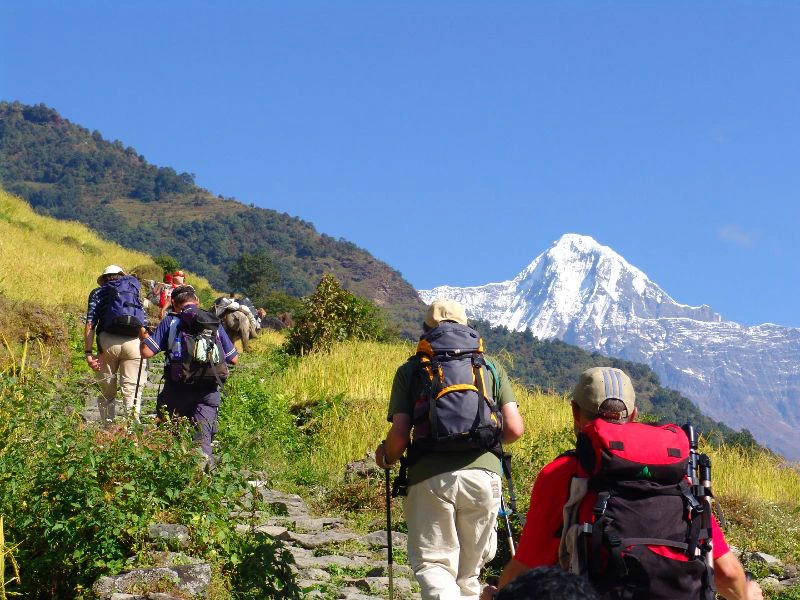 Annapurna Trekking