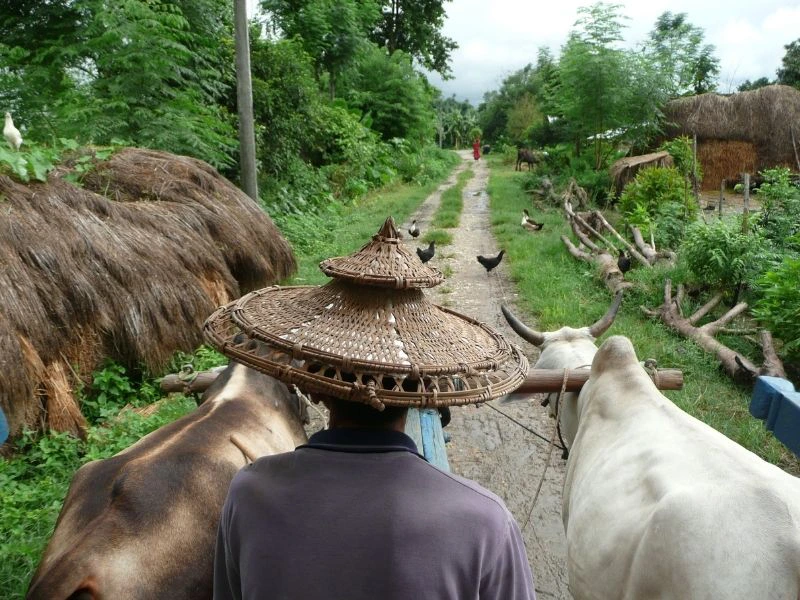 Einheimischer im Dschungel in Chitwan