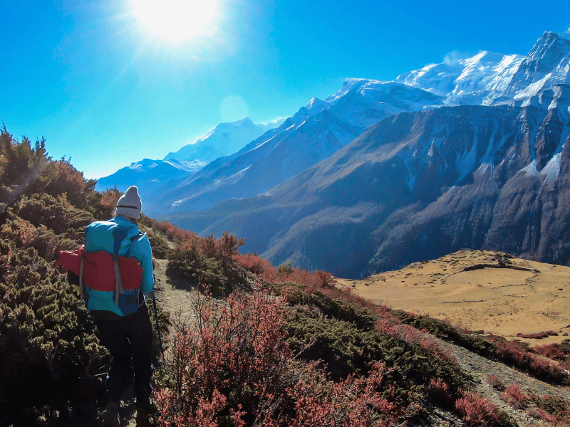 Touristin auf dem Thorung Pass