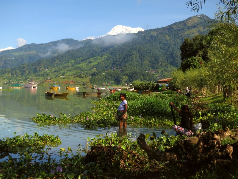 Nepal Pokhara Pewa See