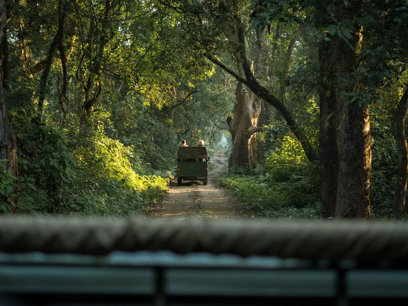 Jeep im Bardiya Nationalpark, Nepal