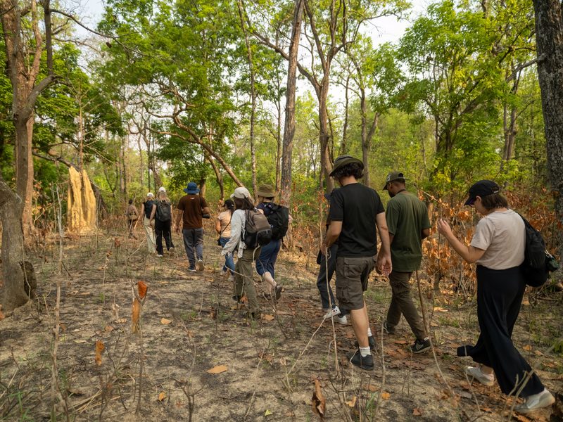 Dschungelwanderung in Bardiya Nationalpark, Nepal