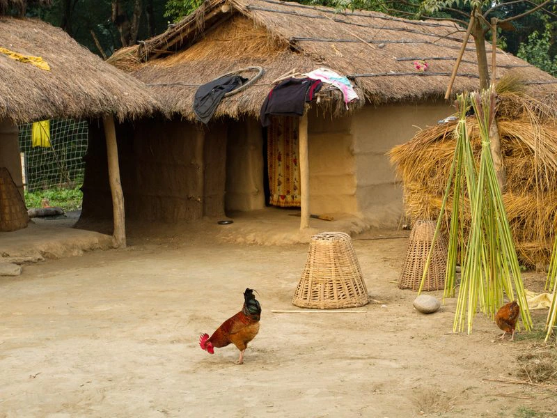 Einfache Hütten im Tharu Dorf in Chiatwan, Nepal