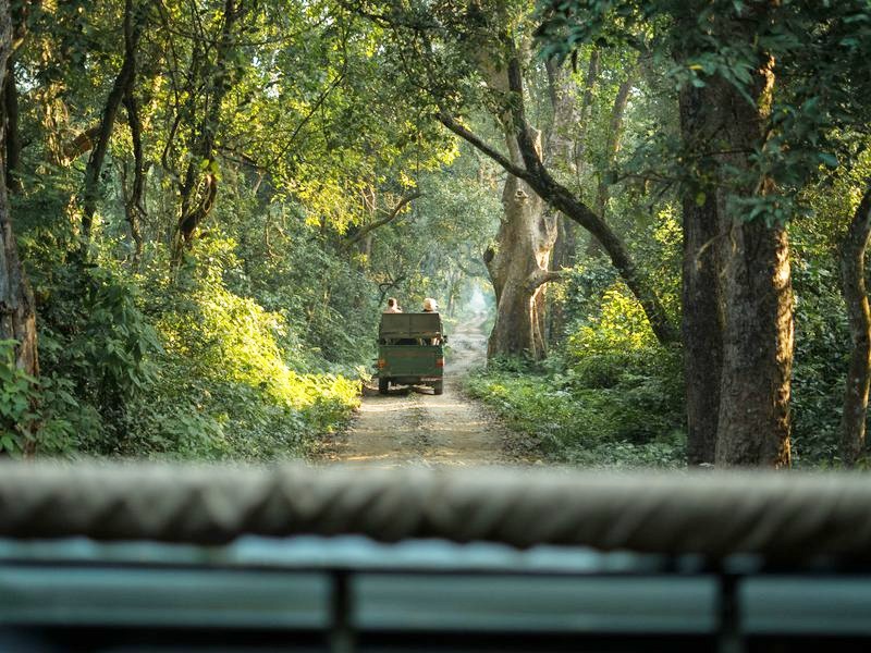Jeep im Bardiya Nationalpark, Nepal