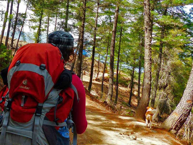 Bumthang Owl Trekking Wanderung Bhutan