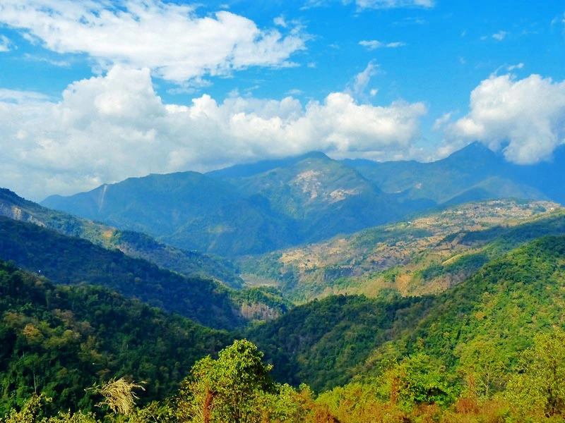 Hügelige, bewaldete Landschaft auf Ihrer Bhutan Reise