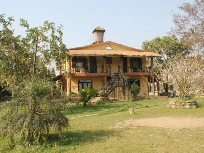 lodge in chitwan