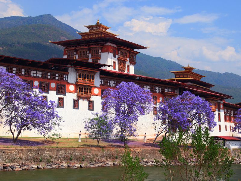 Punakha Dzong mit blühenden Bäumen