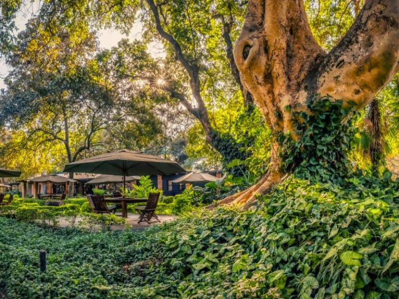 Garten des Special Stay in Arusha, Tansania
