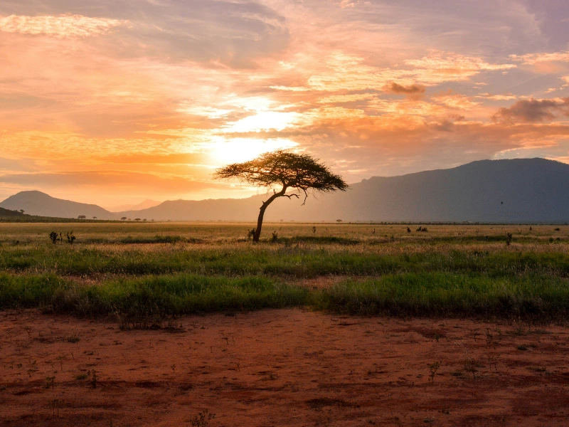 Sonnenuntergang im Tsavo Nationalpark, Kenia