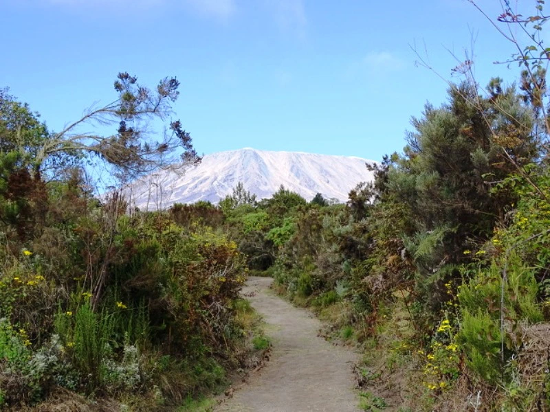 Mount Meru Besteigung Tansania Berge