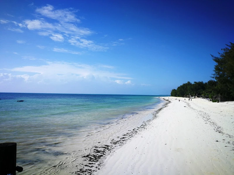 Sansibar - weißer Sandstrand