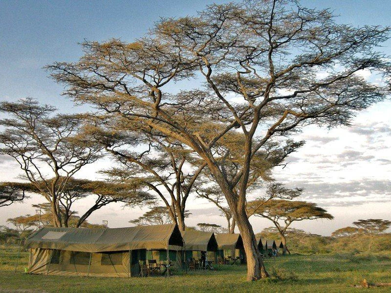 Zelt in der Serengeti