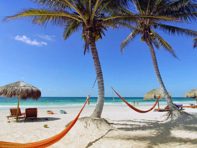 Entspannte Strandaufenthalte am Diani Beach
