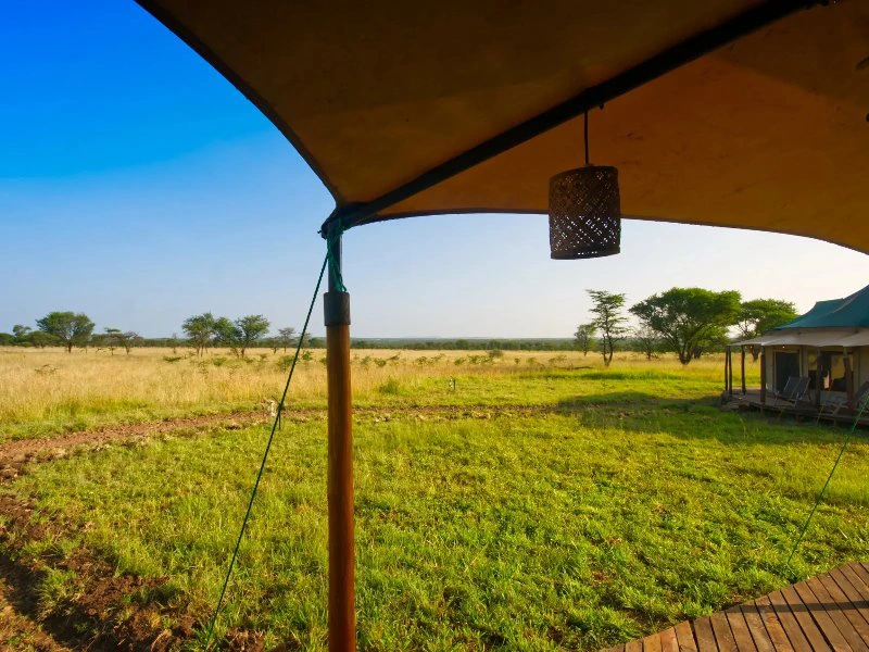 Blick aus einem Serengeti Zelt