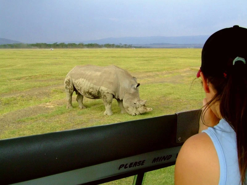 Safari- Ausblick auf ein Nashorn