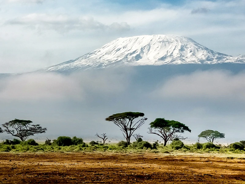 Aussicht auf den schneebedeckten Kilimandscharo