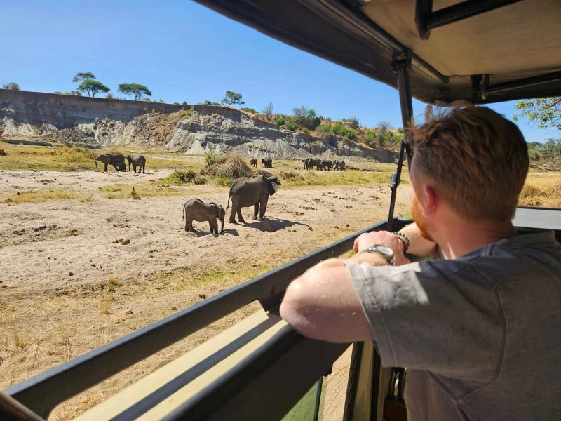 Pirschfahrt in der Serengeti