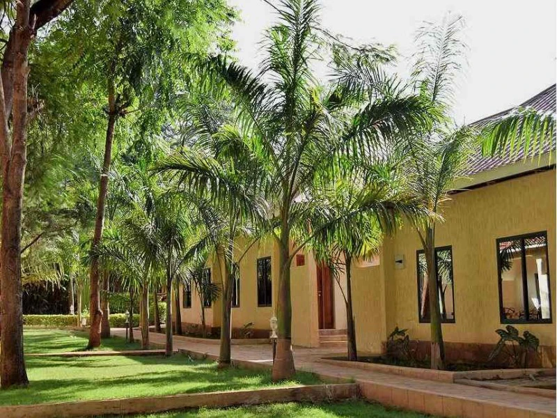Moshi Tansania