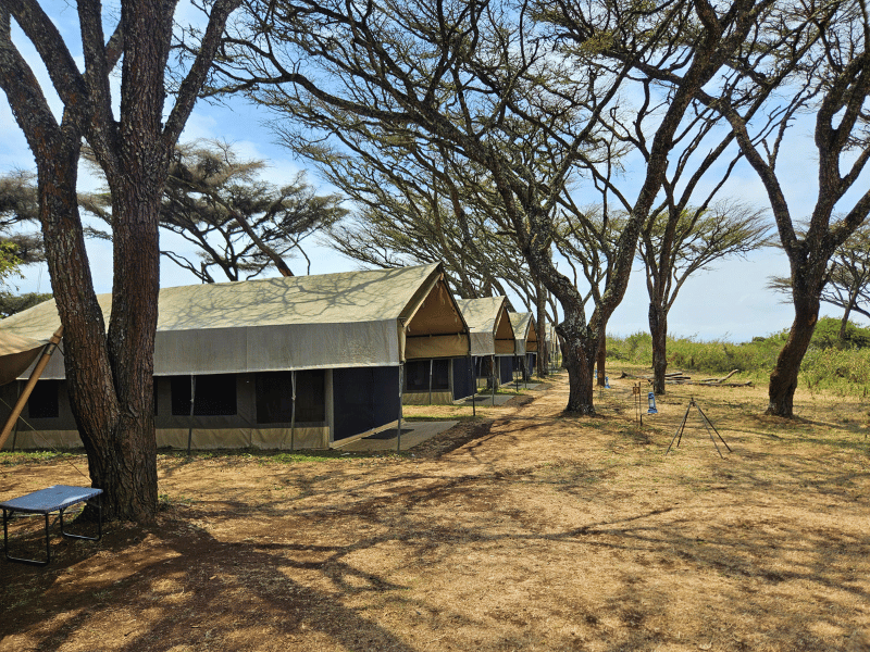 Camp am Ngorongoro Krater Tansania