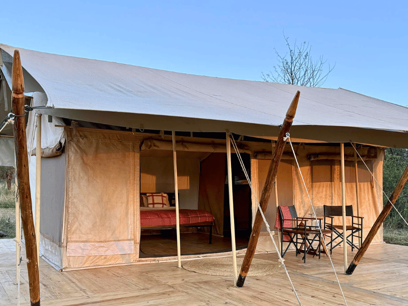 Serengeti Camp Tansania
