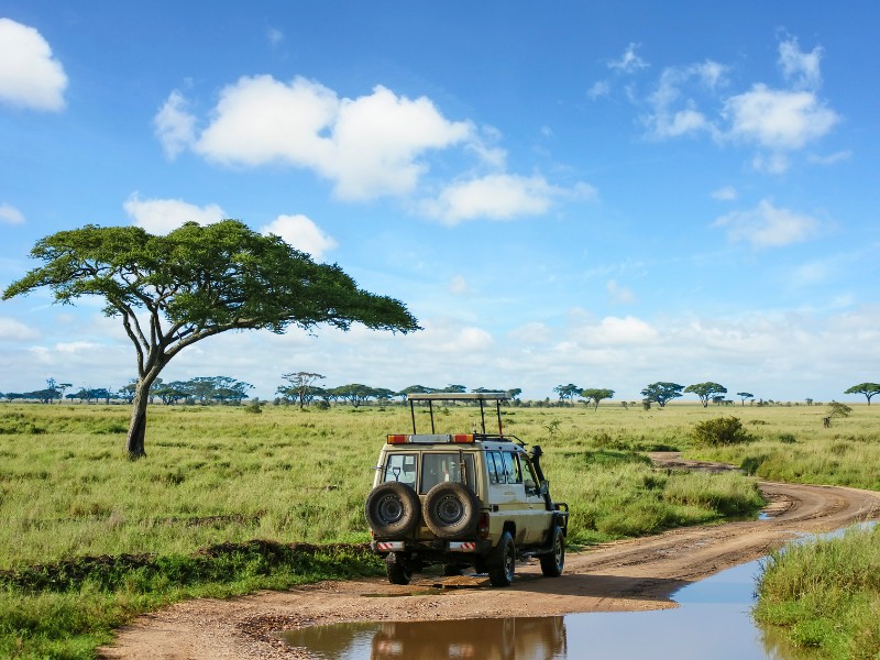 Mit dem Landcruiser durch die Serengeti reisen in Tansania