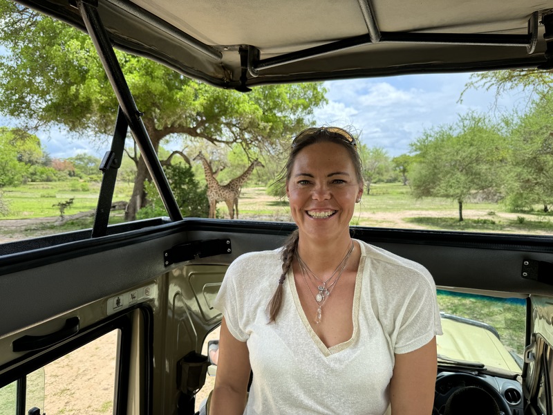 Giraffen während einer Tansania Jeep Safari