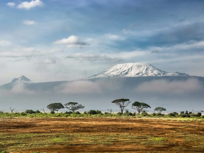 Kilimanjaro beklimmen