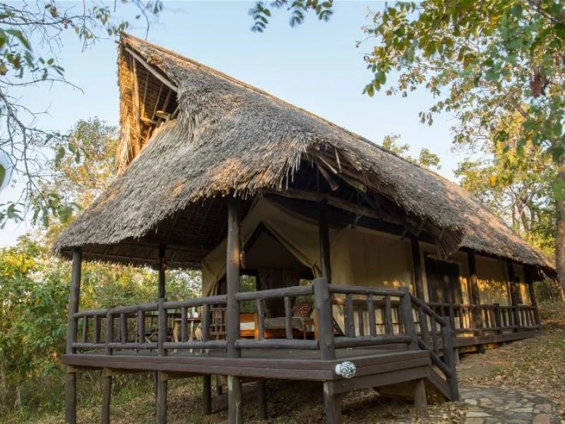 Mikumi Nationalpark Komfort Lodge Tansania
