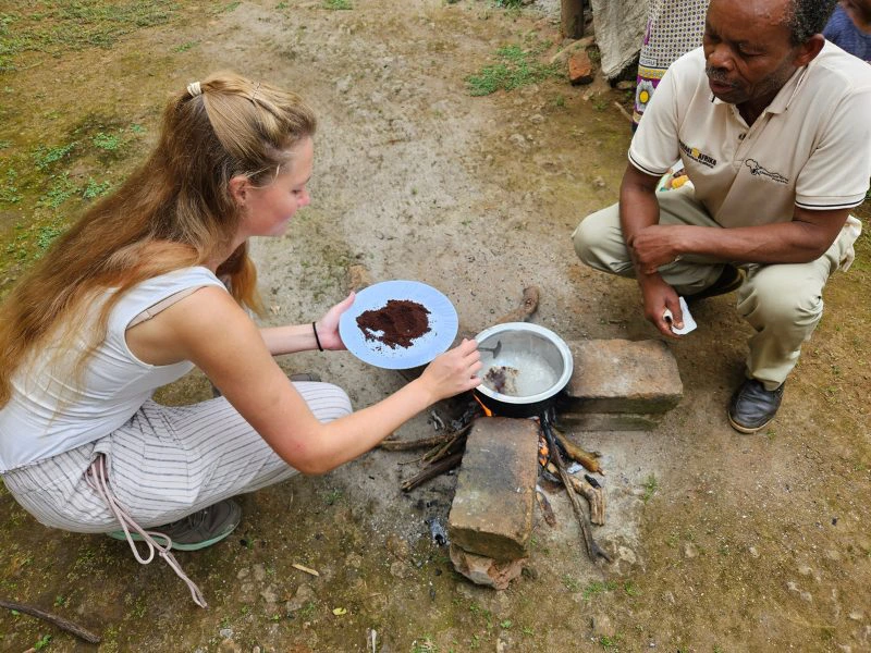 Kaffeeplantage in Moshi