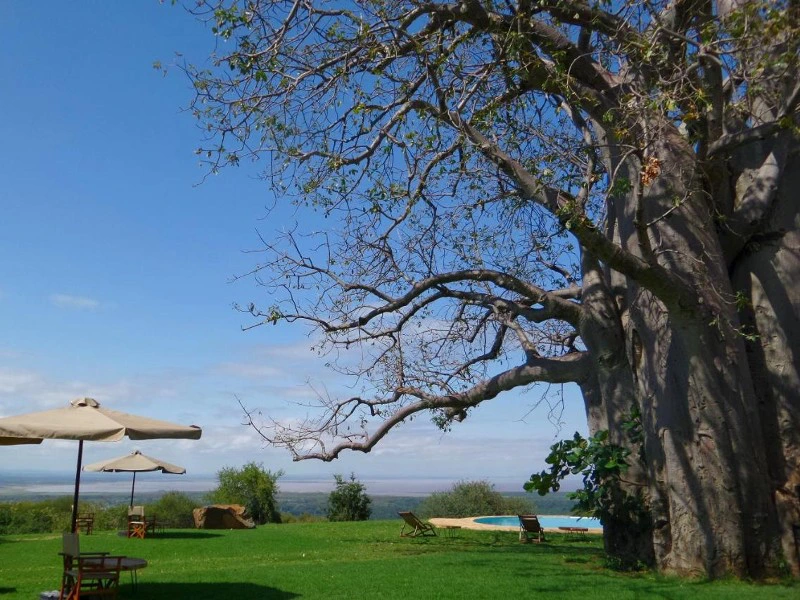 Zeltcamp Lake Manyara Tansania