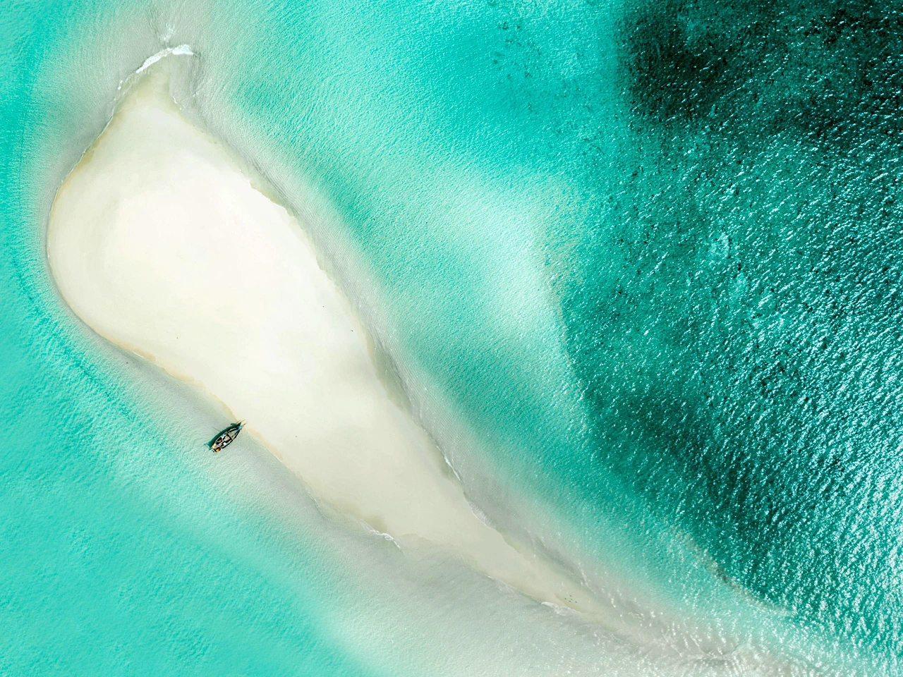 Liutaufnahme von einer Sandbank