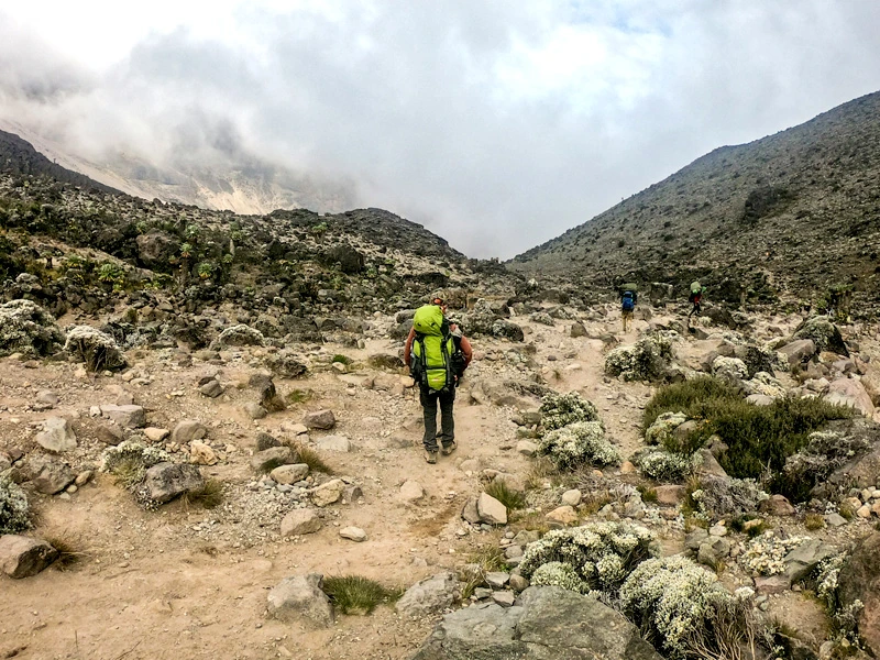 Wanderer am Fuße des Kilimanjaro