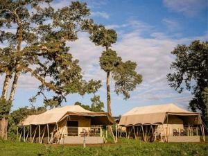 Zeltcamp an Ngorongoro Krater Tansania