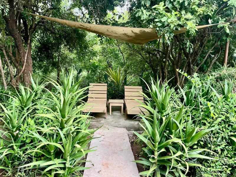 Meru Nationalpark Lodge Kenia