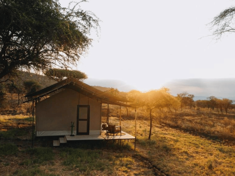 Camp in der Serengeti Luxus Tansania