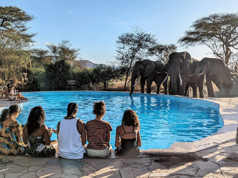 Komfortlodge Tarangire Tansania
