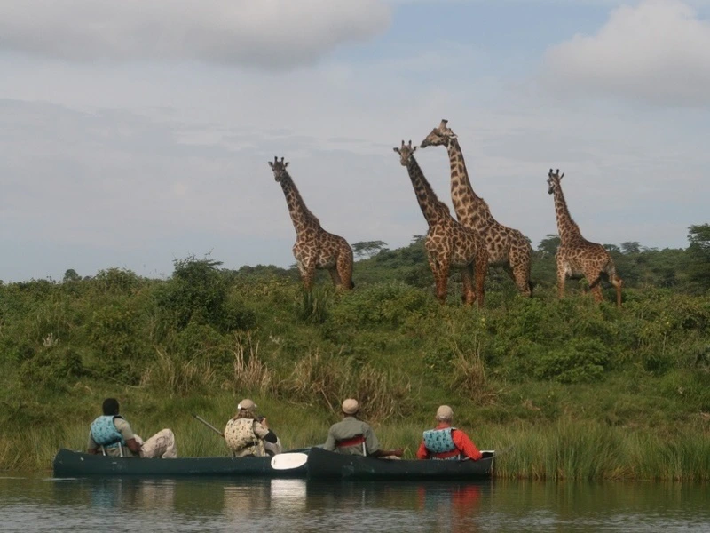Giraffen im Arusha Nationalpark