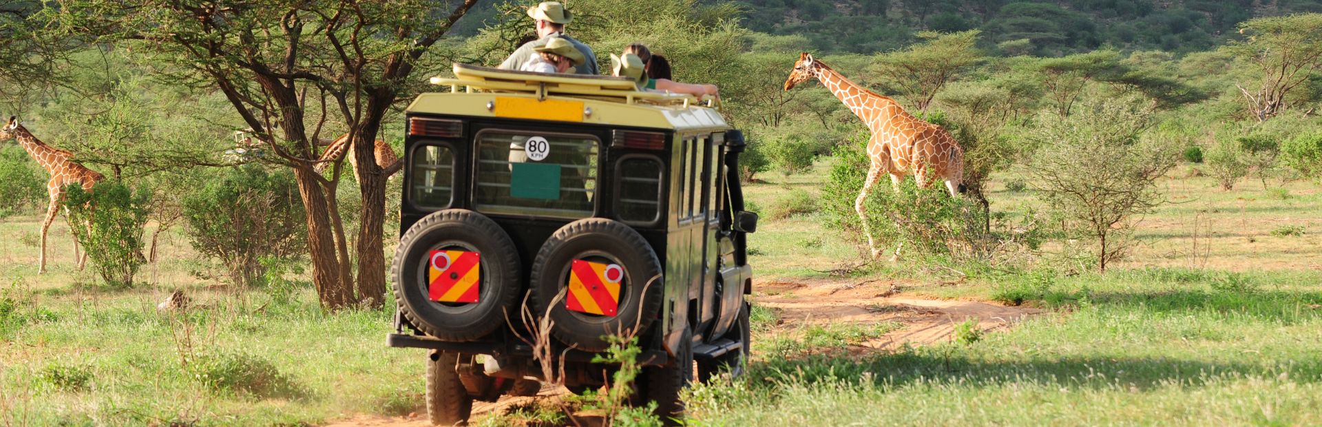 Giraffenherde während einer Safari