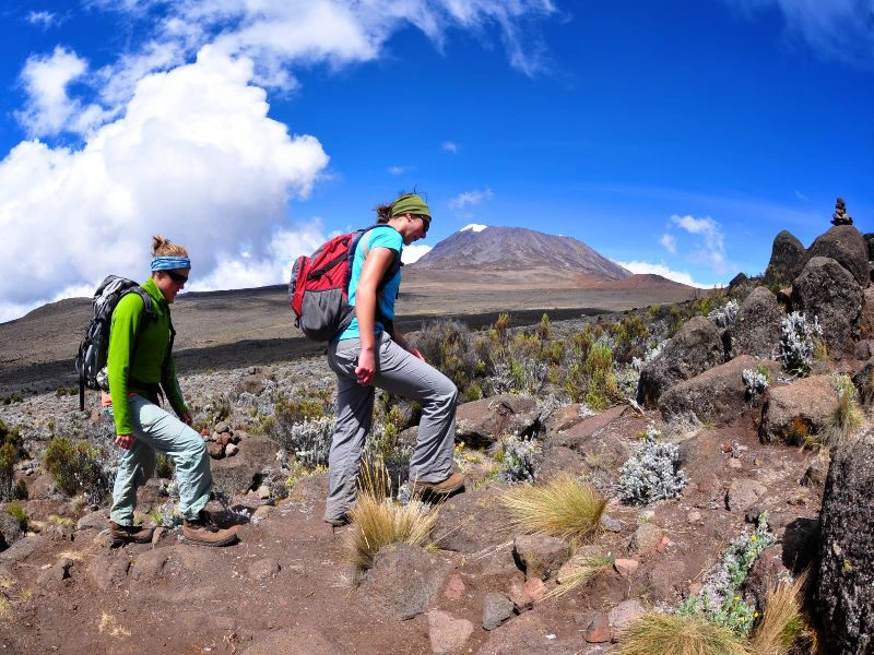 Wanderung in der Gruppe auf den Kilimanjaro Tansania