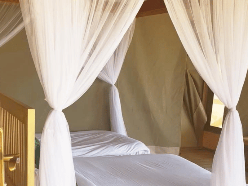 Tarangire Tented Lodge Tansania