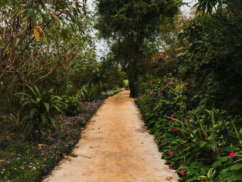 Tansania Lake Manyara Garten Unterkunft