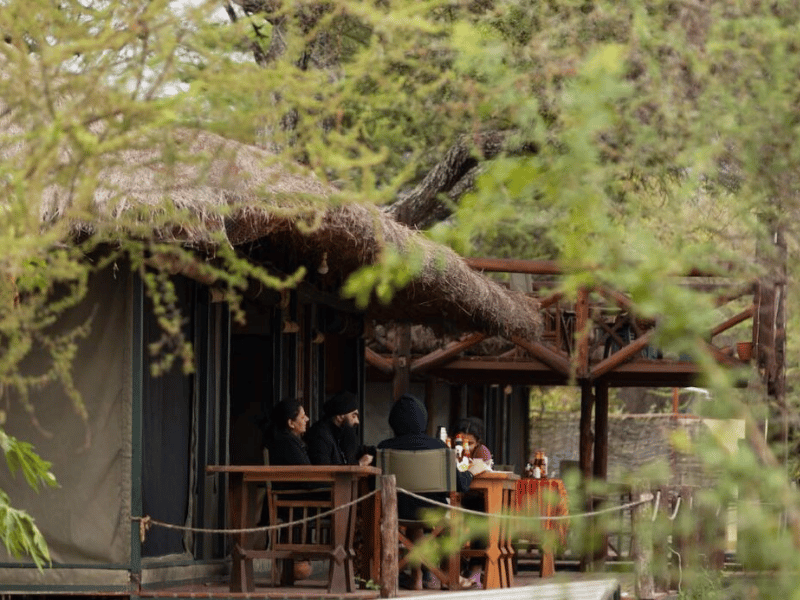 Tansania Tarangire Nationalpark Unterkunft