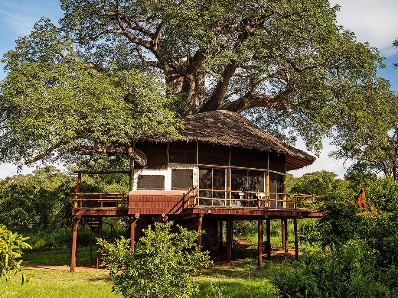 Tansania Tarangire Baumhaus