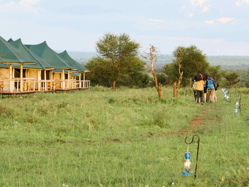 Tansania Serengeti Seronera Budget Umgebung