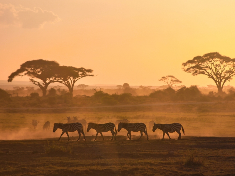 Sonnenuntergang im Amboseli Nationalpark, Kenia