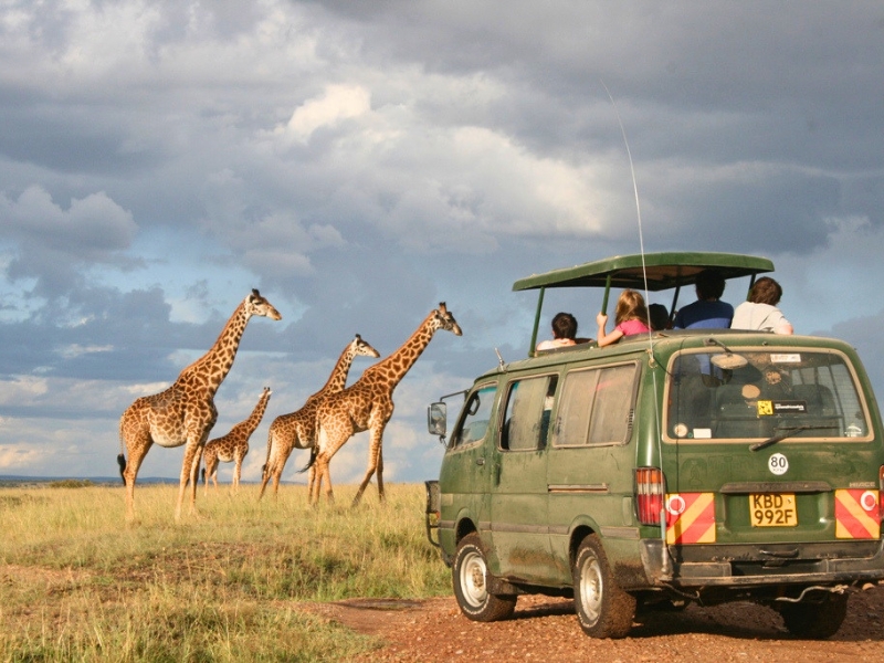 Safari im Tsavo Nationalpark, Kenia
