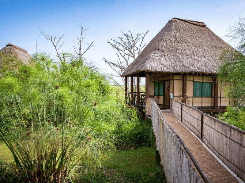 Lake Victoria Komfortlodge Tansania