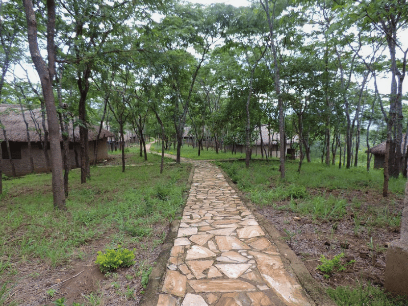 Mikumi Nationalpark Lodge Tansania