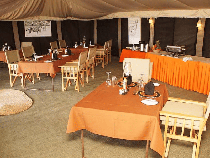 Ngorongoro Krater Tented Camp Budget Tansania